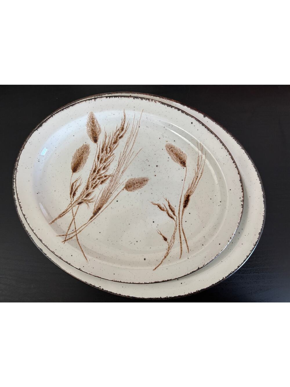 Stonehenge Midwinter Wild Oats Platters Set Oval Stoneware Wedgwood England